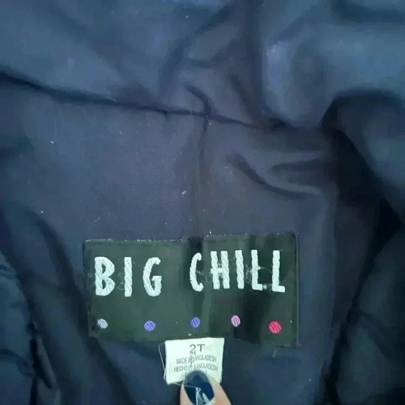 Girl’s Big Chill Puffer Jacket Size 2T - Picture 4 of 6